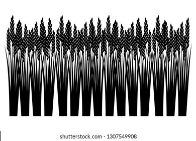 Rice plant silhouette vector