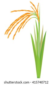 rice plant vector design