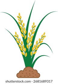 Planta de arroz Vector Paddy Spikelet de ilustración Perfecto para su uso en diseños agrícolas, conceptos agrícolas, proyectos de la industria alimentaria, materiales educativos y gráficos botánicos.