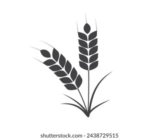 Planta de arroz. Trigo, centeno, orejas de arroz. Ilustración de vector 