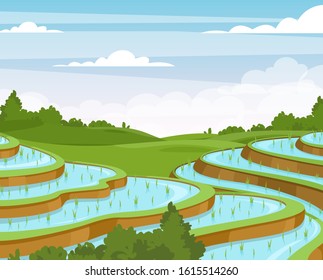 Rice plantation flat vector illustration. Vietnam countryside farmland fields. Asian rural meadow and hills cartoon scenery. Cereal growing in soil and water. Rice cultivation technique.