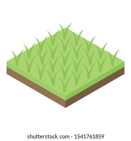 Rice plantation icon. Isometric of rice plantation vector icon for web design isolated on white background