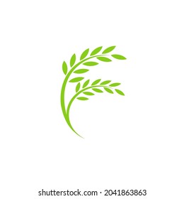 Rice plants vector icon isolated on white background. Vector illustration