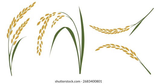 Logotipo del Vector de las plantas de arroz aislado en el fondo blanco.