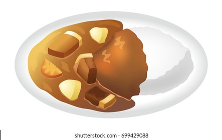 rice with pork curry vector