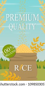 Rice poster vector. free space for text. wallpaper. background. oat vector. rice drop vector.