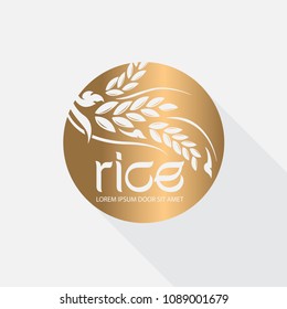 rice premium organic natural product 