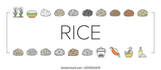 Rice For Preparing Delicious Food Icons Set Vector. Valencia And Basmati, Jasmine And Brown Rice Grain. Cooker Electronic Gadget For Cooking And Boiling Tasty Meal Color Illustrations