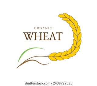 Rice product banner logo. Agriculture wheat Template. Growth rice stalk. Sign for farm market. Vector illustration 
