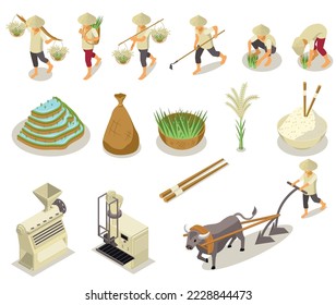 Rice production isometric set with isolated icons of gathering and cleaning tools with characters of workers vector illustration