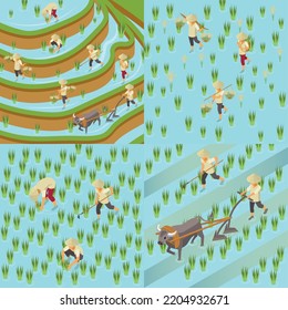 Rice production isometric set of square compositions with rice paddy workers in hats bulls and plows vector illustration