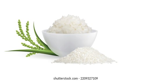 Rice realistic composition with mound of raw white paddy near cooked porridge in bowl decorated by green sprout vector illustration