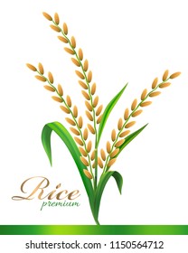 Rice realistic vector illustration
