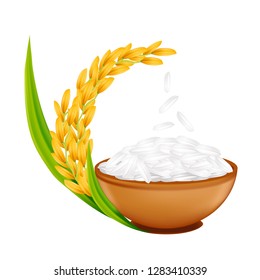 Rice realistic vector illustration