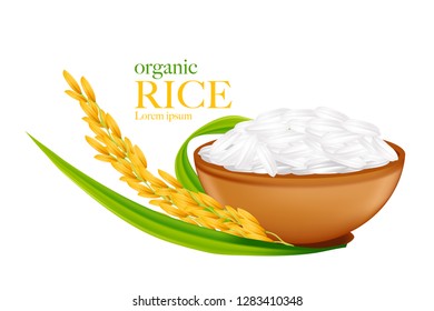 Rice realistic vector illustration