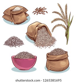 Rice sacks. Bowl with rice grains and ears. Japanese food, rice storage cartoon vector set