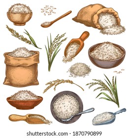 Rice sacks and cereals. Vintage bags, bowls and scoops with grains. Ear spikes and seed pile. Colorful engraved farm organic food vector set. Cooking rural products in heaps. Package with food