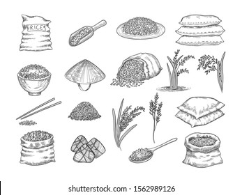 Rice sacks. Natural agriculture objects wheat grains rice food vector hand drawn collection