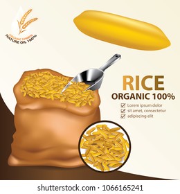 Rice seed banner vector illustration