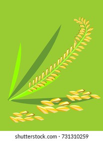 rice seed with green leaf green background