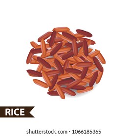 Rice seed vector illustration