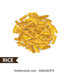 Rice seed vector illustration