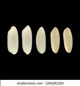 Rice separated from the black background. Great vegetarian design elements.