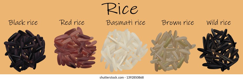 Rice Set. Black, Red, Basmati, Brown, Wild. Vectric 3d Illustration, Rice Close-up.