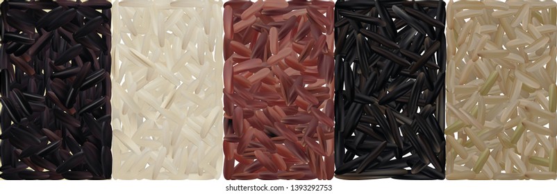 Rice set, black, red, basmati, brown, wild. Vector illustration isolated on white background.