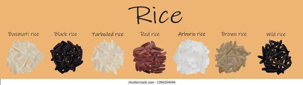 Rice set black, red, basmati, brown, wild, parboiled, arborio. 3D vector illustration, rice close up.