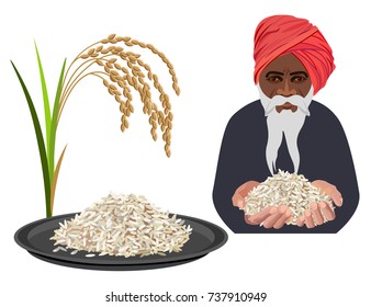 Rice set with a farmer. Vector illustration isolated on a white background