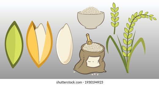 Rice set. Grains icons, rice bag, cooked rice in bowl. Rice plant. Cartoon flat vector illustration.