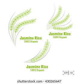 Rice set. Hand drawn vector illustration