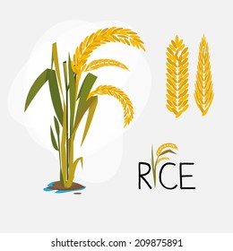 rice set. letter - vector illustration