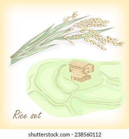 Rice set. Spikelet of rice, rice porridge, rice field, hand drawn vector illustration