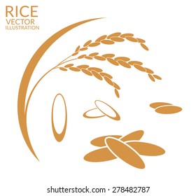 Rice. Set. Vector Illustration 