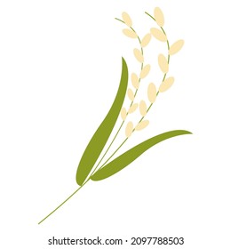 rice spike flat clipart vector illustration
