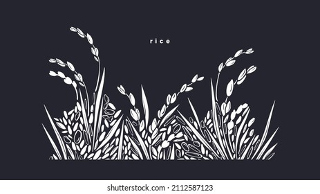 Rice splash. Grain border. Vector paddy field on black background. Graphic ornament, landscape