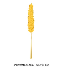 Rice stalk icon. Cartoon illustration of rice stalk vector icon for web