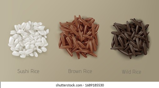 Rice sushi, brown and wild grain piles top view isolated on white background. Vegetarian organic raw food, different cereals types for sushi and healthy eating, realistic 3d vector icon, clip art