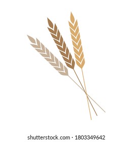 Rice symbol. Oat symbol vector. wallpaper. logo design.
