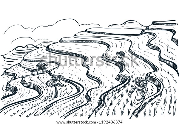 Rice terrace fields landscape, vector sketch\
illustration. Asian agriculture and harvesting vintage background.\
China rural nature view.