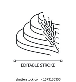 Rice terraced field linear icon. Agricultural products. Indonesian farmland. Terrace farming. Growing cereal. Thin line illustration. Contour symbol. Vector isolated outline drawing. Editable stroke