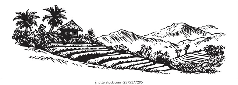 rice terraces with hut and mountains in monochrome hand-drawn style