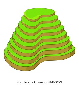 Rice terraces icon. Cartoon illustration of rice terraces vector icon for web design