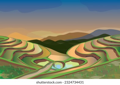 terrazas de arroz en el diseño del vector de montaña