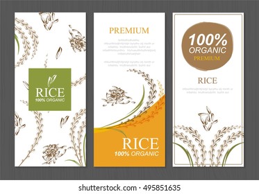 Rice Thailand food product vector design, banner and poster template design rice food. 