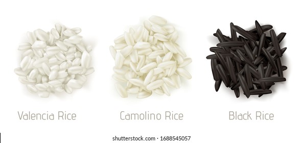 Rice valencia, camolino and wild grain piles top view isolated on white background. Vegetarian organic raw food, different cereals types for paella and healthy eating, realistic 3d vector icon