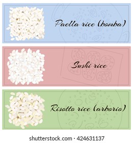 Rice for various dishes. Paella, risotto, sushi. Vector illustration eps10.