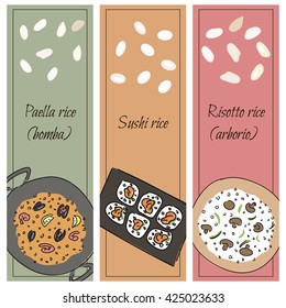 Rice for various dishes. Paella, risotto, sushi. Vector illustration eps10.